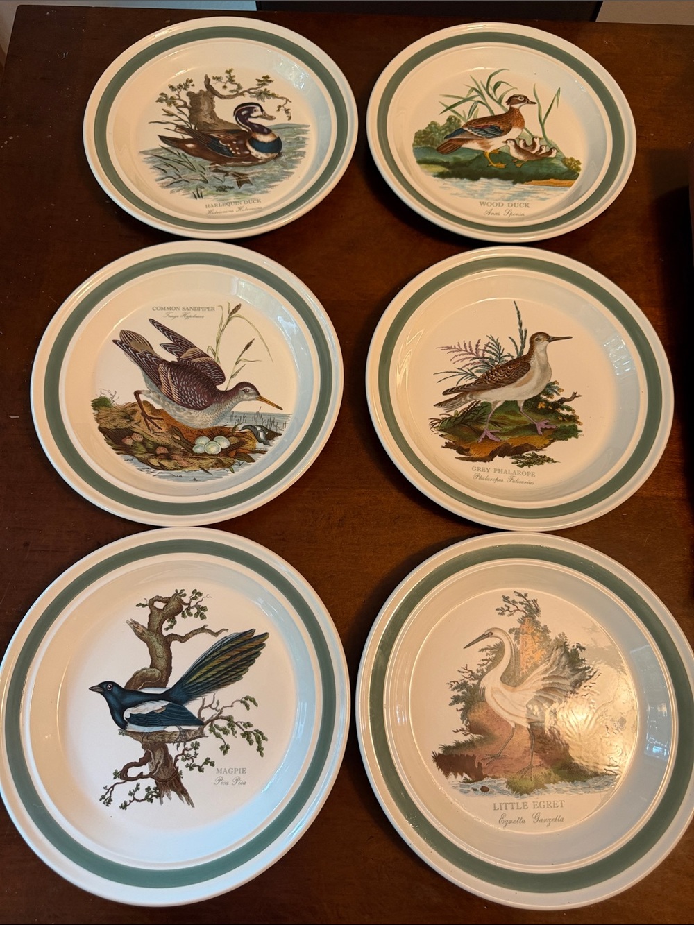 Portmeirion Birds of Britain Dinner Plate - Set of 6
